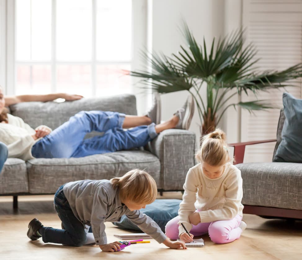 Residential window film family display